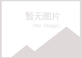 汉中又菱造纸有限公司